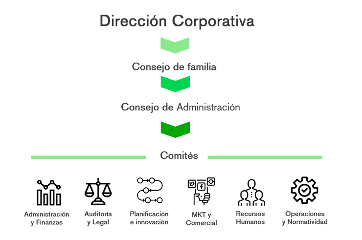 Equipo Directivo Grupo FAGRO